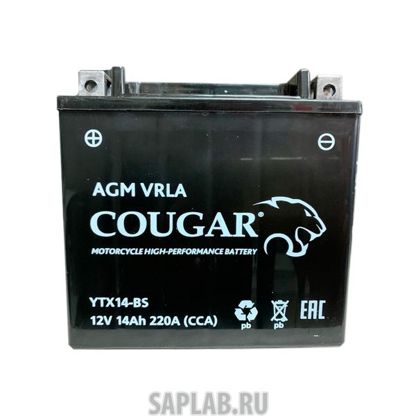 Купить запчасть COUGAR - YTX14BS 