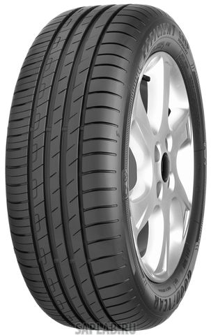 Купить GOODYEAR 543031 GOODYEAR 205/55/16 W 94 EFFIGRIP PERF XL