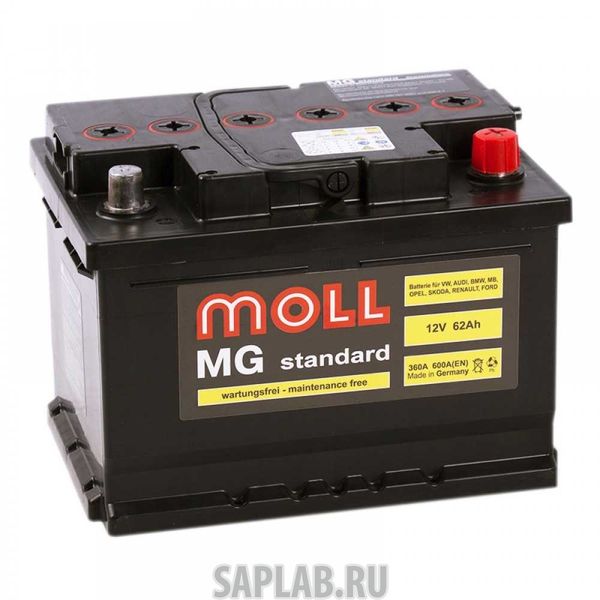 Купить запчасть MOLL - MGSTANDARD62SR 