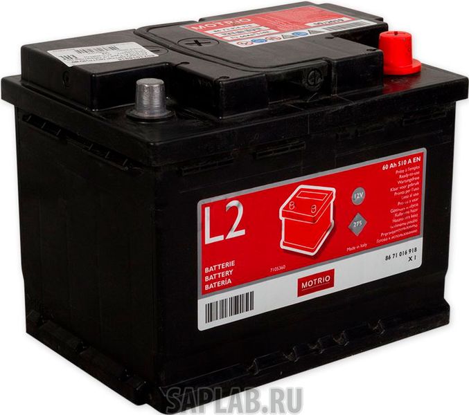 Купить MOTRIO 8671016918 Аккумулятор MOTRIO Standart 60 А/ч обратная R+ EN510 А 242x175x190 МОТРИО 8671 016 918